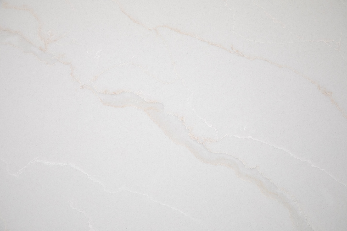 5187 Rhinoceros White